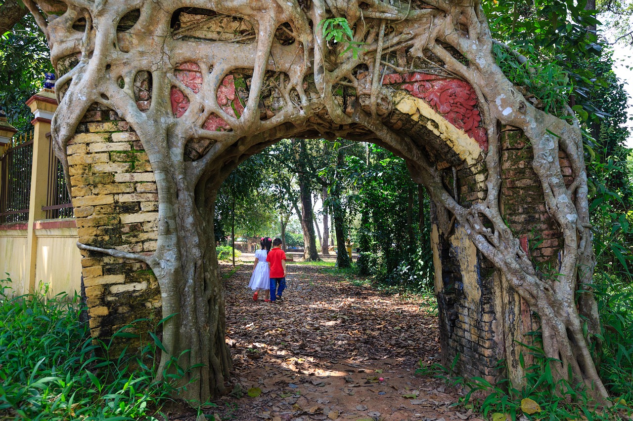 tree, door, cling